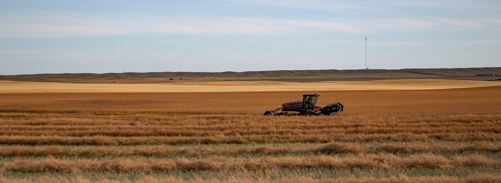 Harvesting crops on a large field